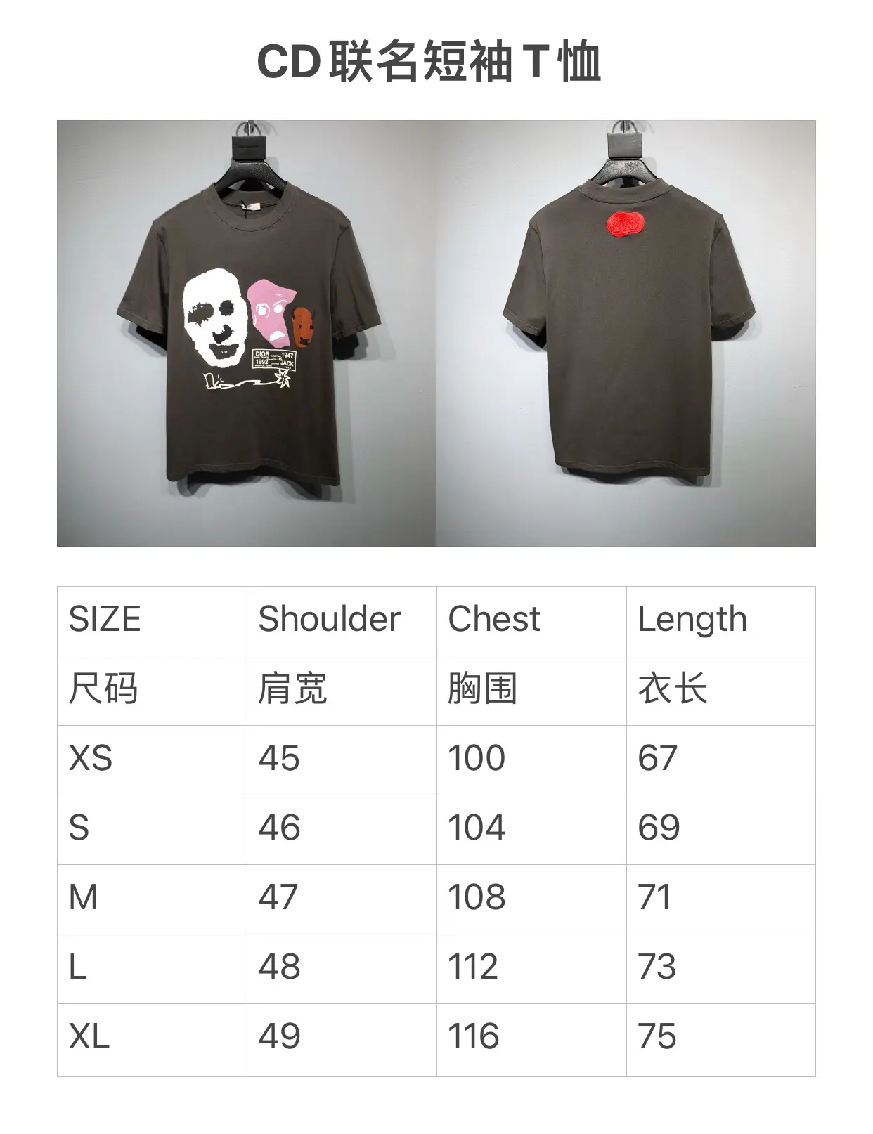 Dior Cactus Jack T-Shirt Gray Graphic - Image 10