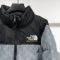 Replica Gucci & The North Face Down Jacket in Gray