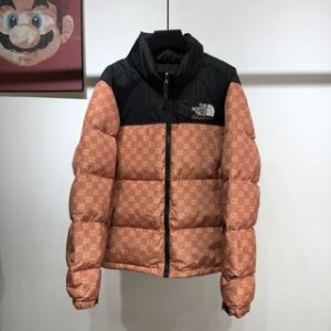 Gucci & The North Face Down Jacket in Brown
