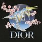 Replica Dior Sorayama Tee