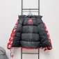Replica The North Face Down Jacket Letters in Black