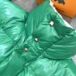 Replica Moncler Down Jacket White Duck Down in Green