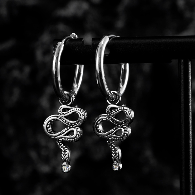 Stainless Steel Twisted Snake Hoop Earrings Silver With Street Luxury Shine