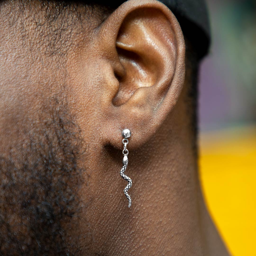 Climbing Snake Stainless Steel Earrings Silver With Street Luxury Shine
