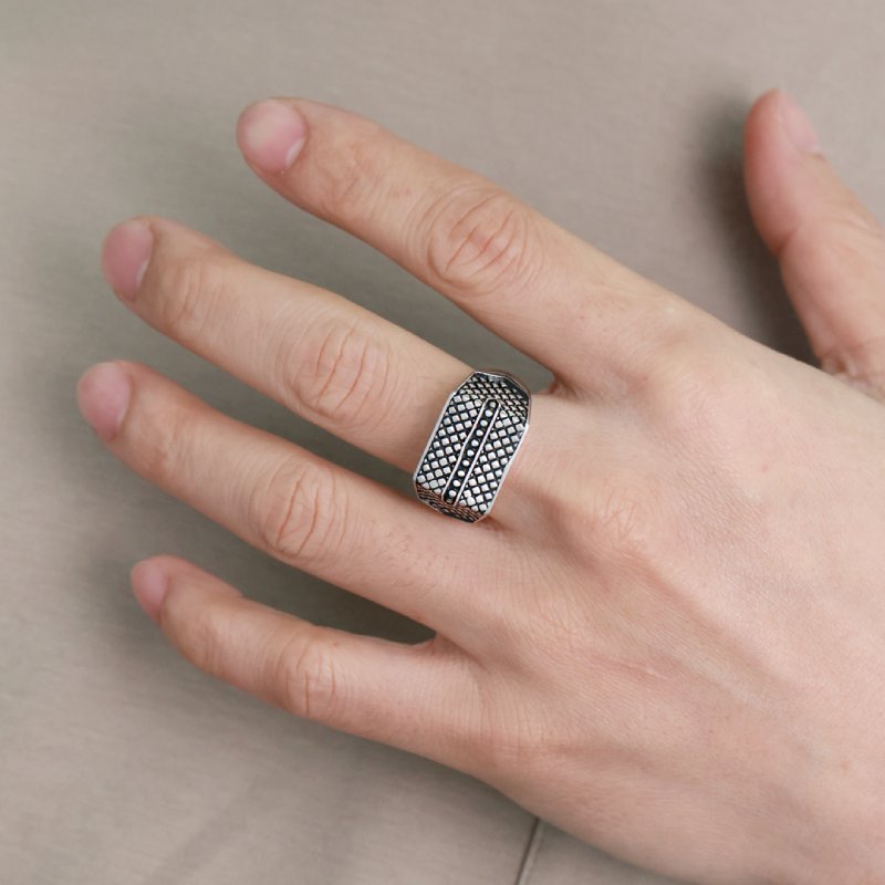Reptile Signet Stainless Steel Matte Ring Silver With Street Luxury Shine - Image 4
