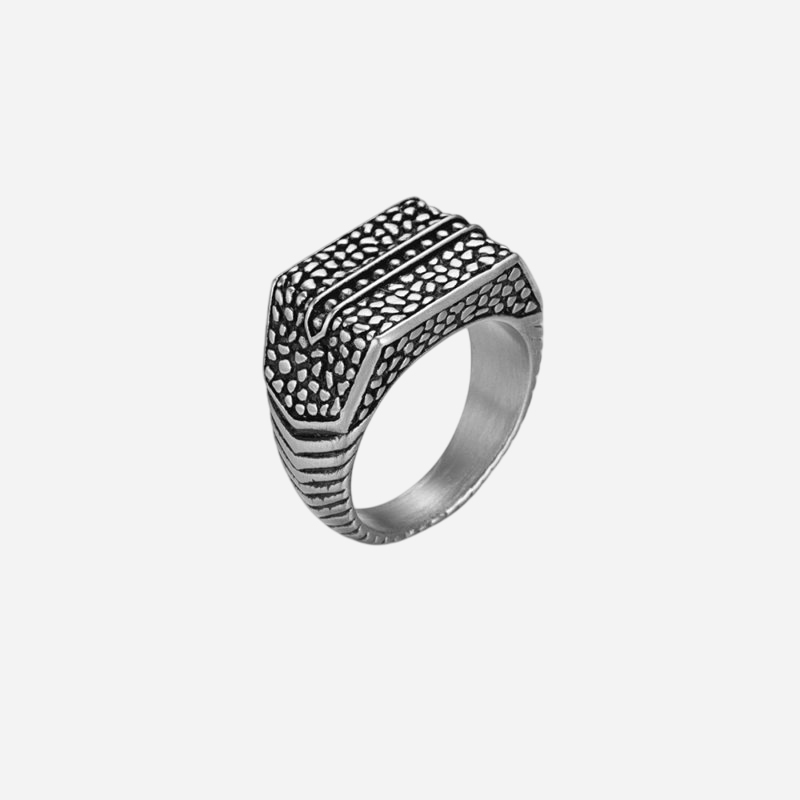 Reptile Signet Stainless Steel Matte Ring Silver With Street Luxury Shine - Image 6
