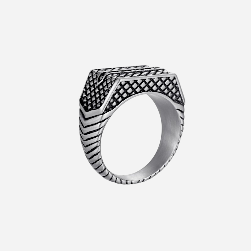 Reptile Signet Stainless Steel Matte Ring Silver With Street Luxury Shine - Image 7