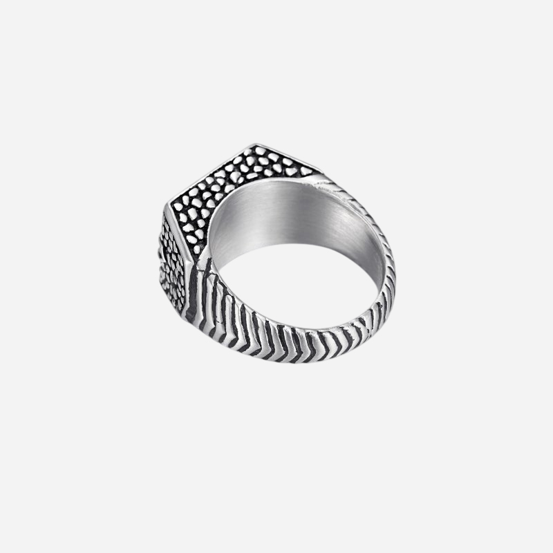 Reptile Signet Stainless Steel Matte Ring Silver With Street Luxury Shine - Image 8