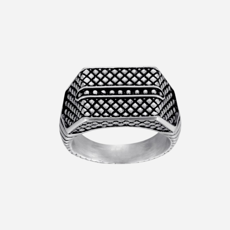 Reptile Signet Stainless Steel Matte Ring Silver With Street Luxury Shine