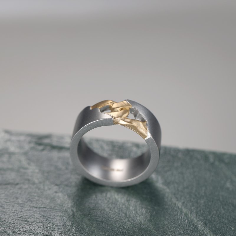 Stainless Steel Matt Ring In Gold And White Gold With Street Luxury Shine - Image 3