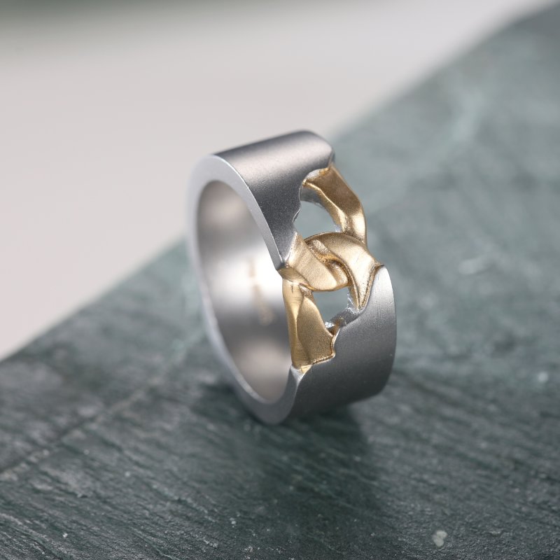 Stainless Steel Matt Ring In Gold And White Gold With Street Luxury Shine