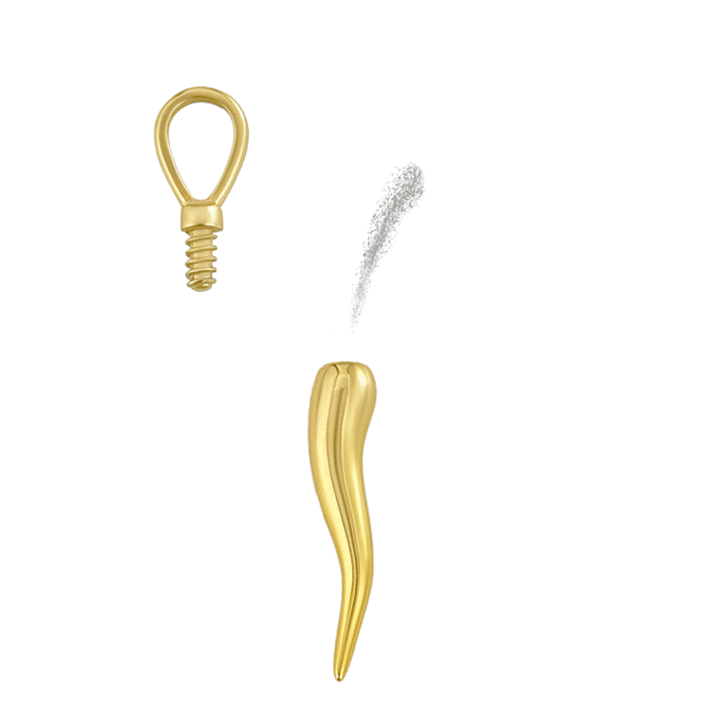 Italian Horn Cremation Urn Ashes Pendant Gold With Street Luxury Shine - Image 5