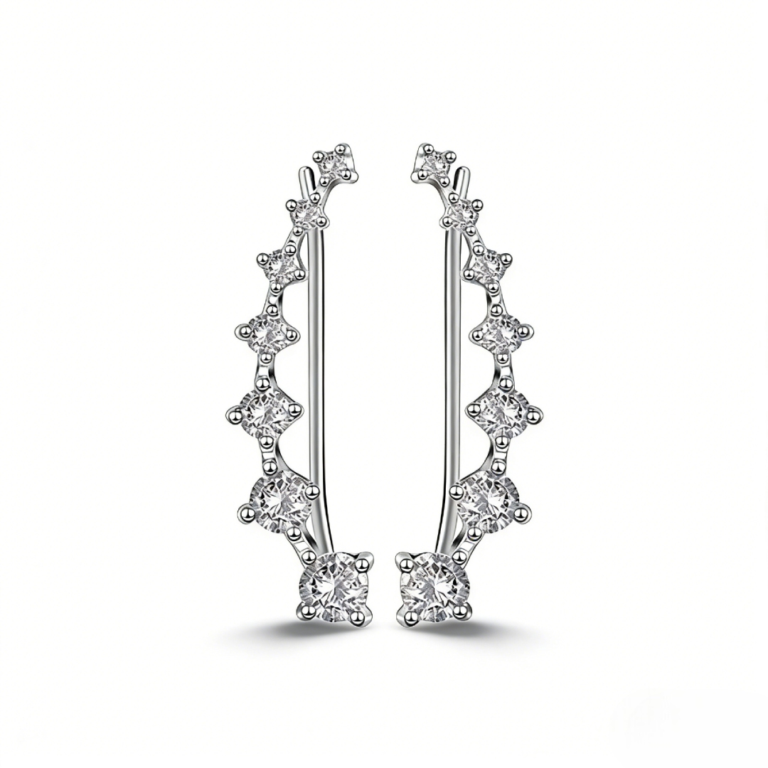 Fashion Climbers Stud Earrings Bold Statement Style With Street Luxury